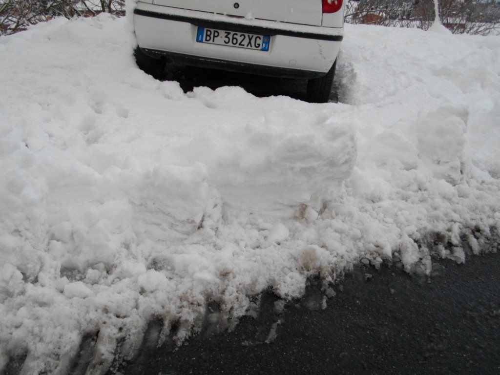 47003-imgp583.jpg