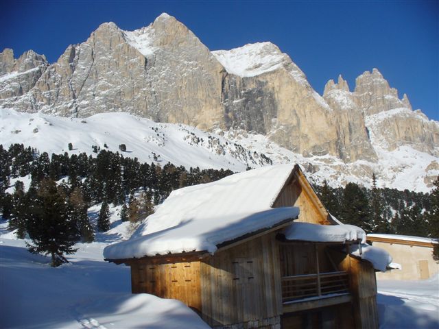 47501-catinaccio-23.jpg