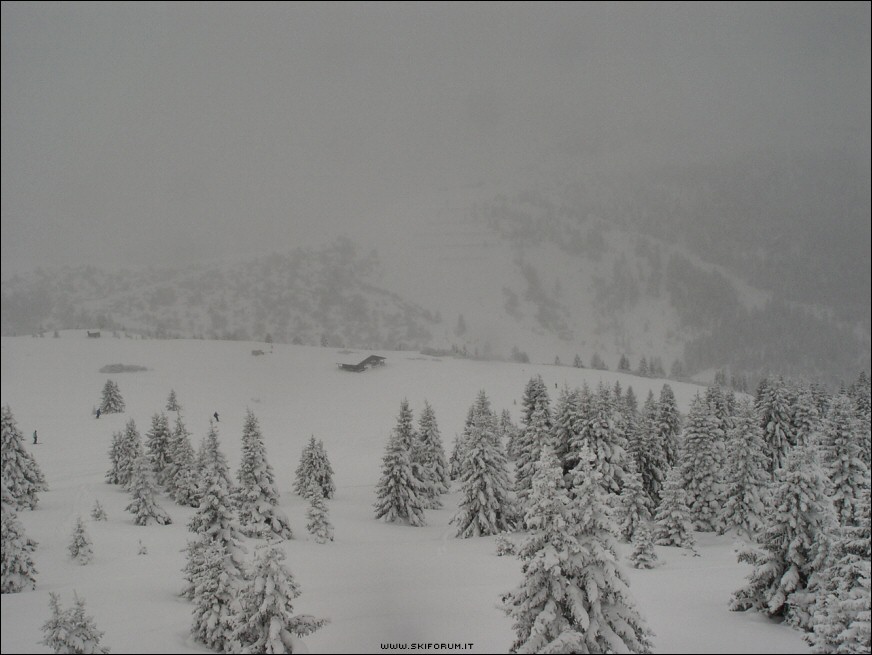 4761-boschetti-monte-cherz.jpg