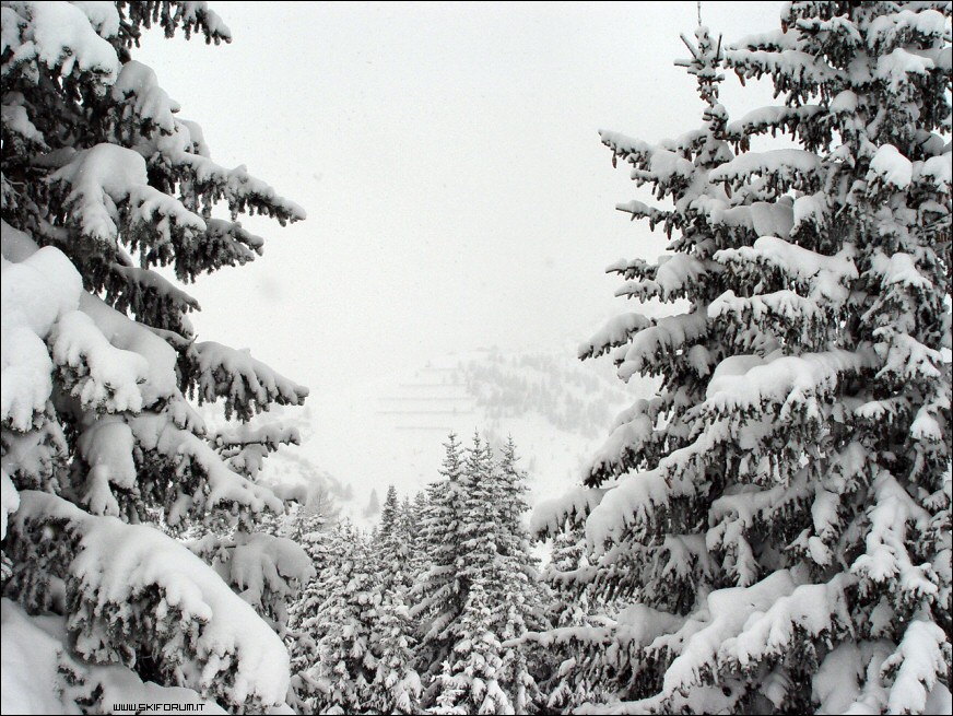 4818-neve-monte-cherz.jpg