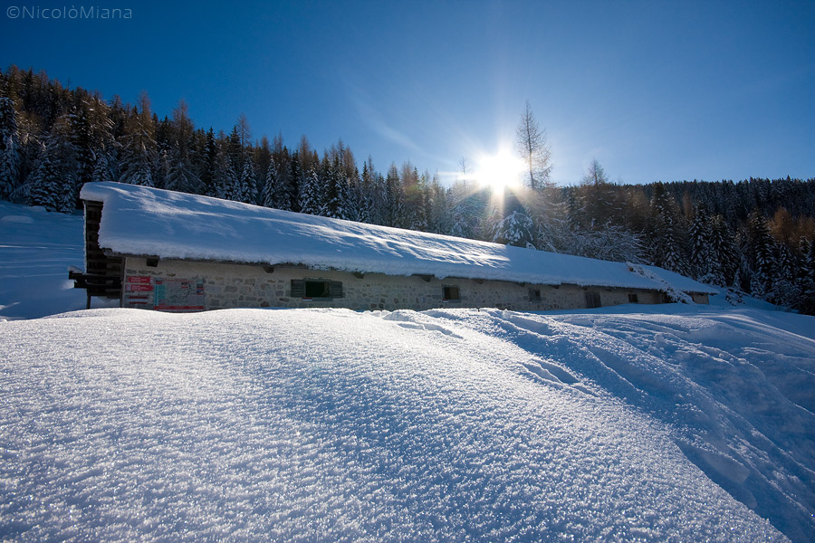48596-malga.jpg