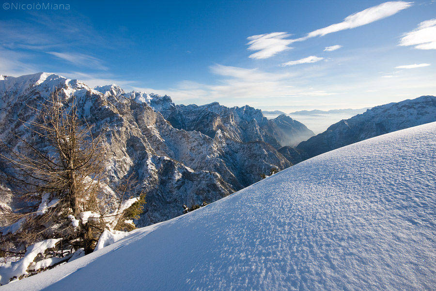 48598-dolo-bellunesi.jpg