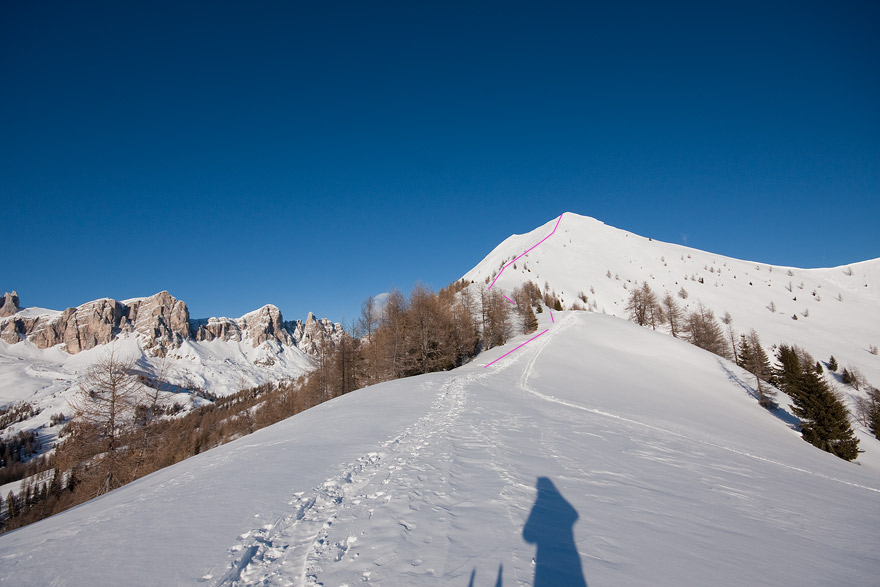 49411-img2723.jpg