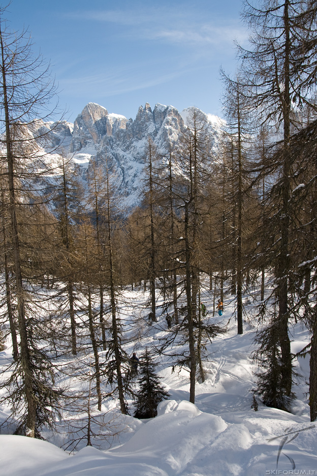 49750-freeride-dolomiti-sanmartino.jpg