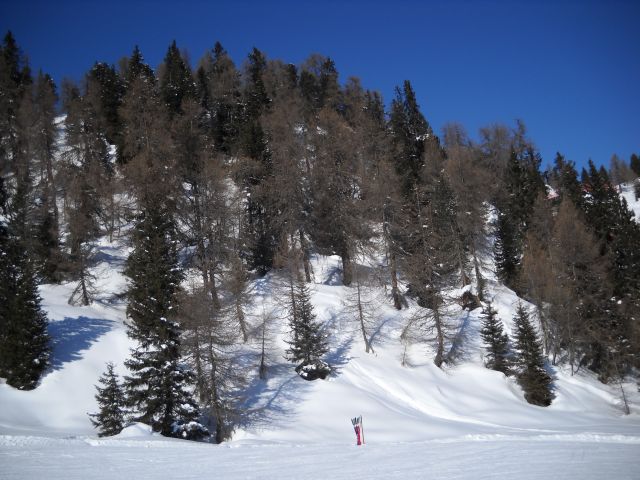 50143-dom9.jpg