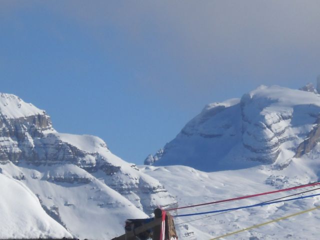 50230-gio1.jpg