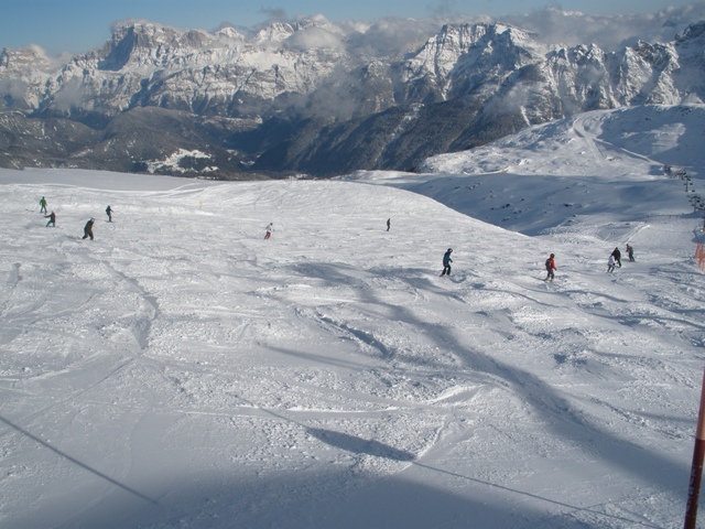 50833-2.jpg