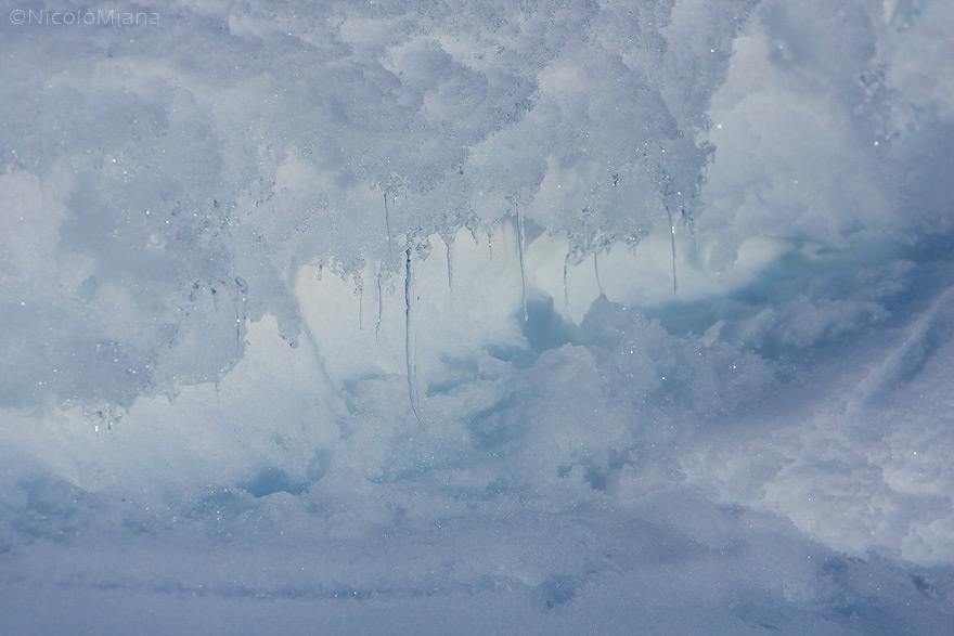 51058-ice.jpg