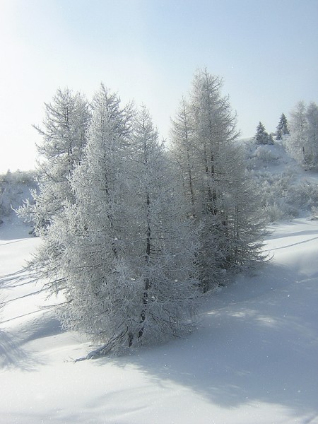 51670-dopo-la-nevicata.jpg