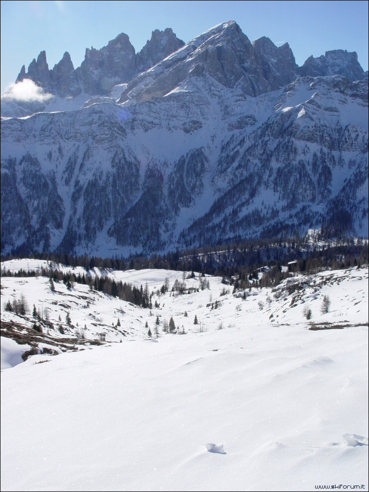 5195-pale-san-martino-falcade.jpg