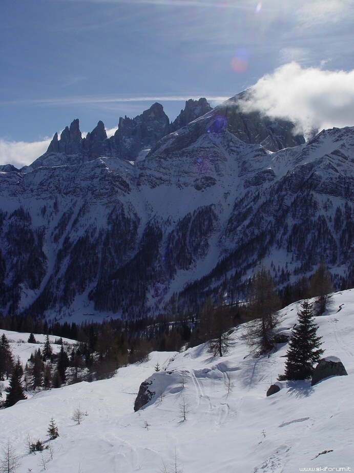 5210-dolomiti-freeride-falcade.jpg