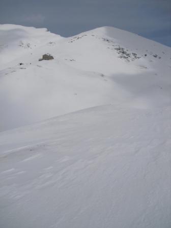 52835-cimg0407.jpg
