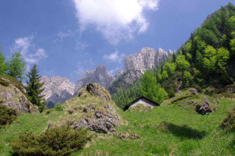 55359-imgp2080.jpg