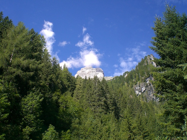 57590-wlf.jpg