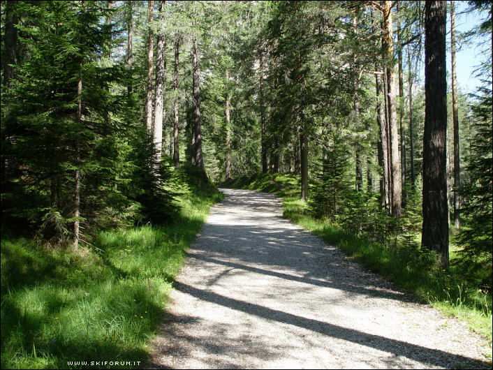 580-parco-cortina-sennes-mtb-03.jpg