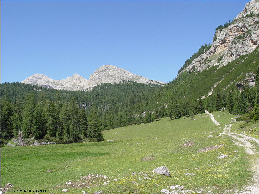 594-parco-sennes-braies-mtb-01.jpg