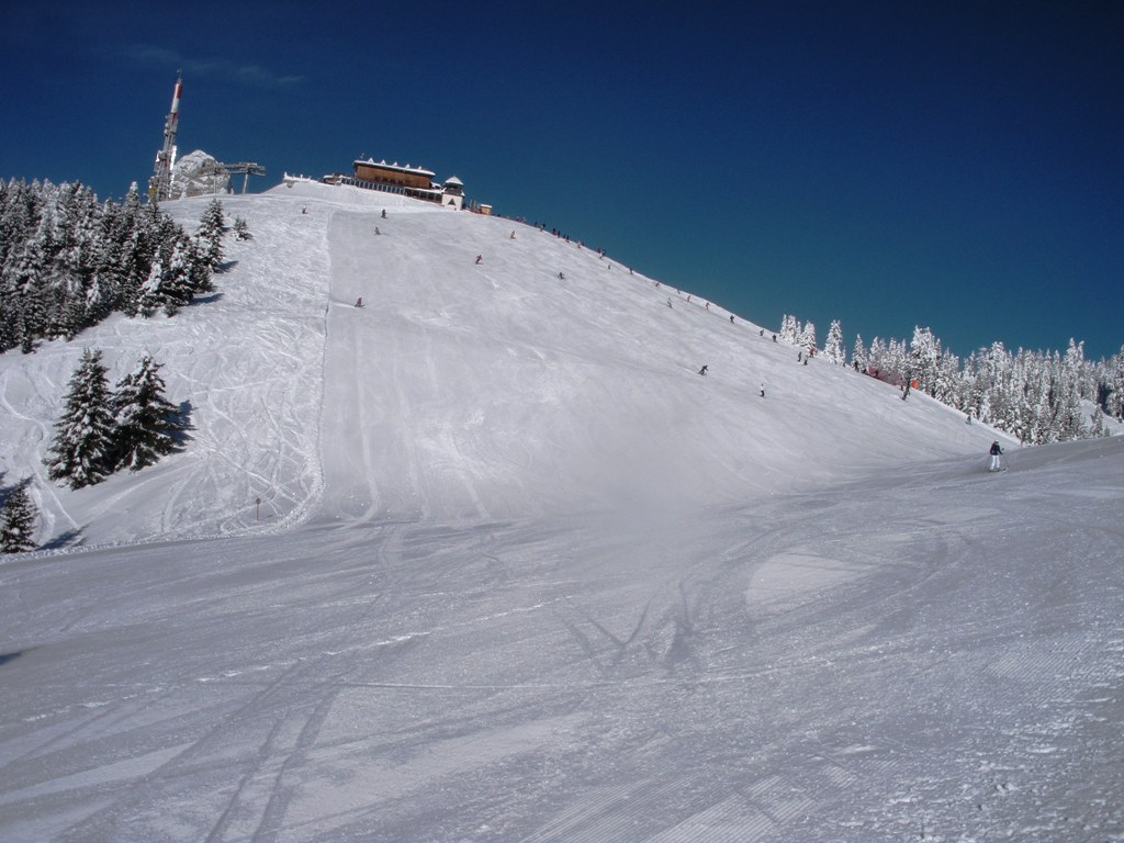 60194-colalt.jpg