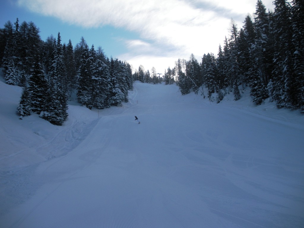 60217-dante4.jpg