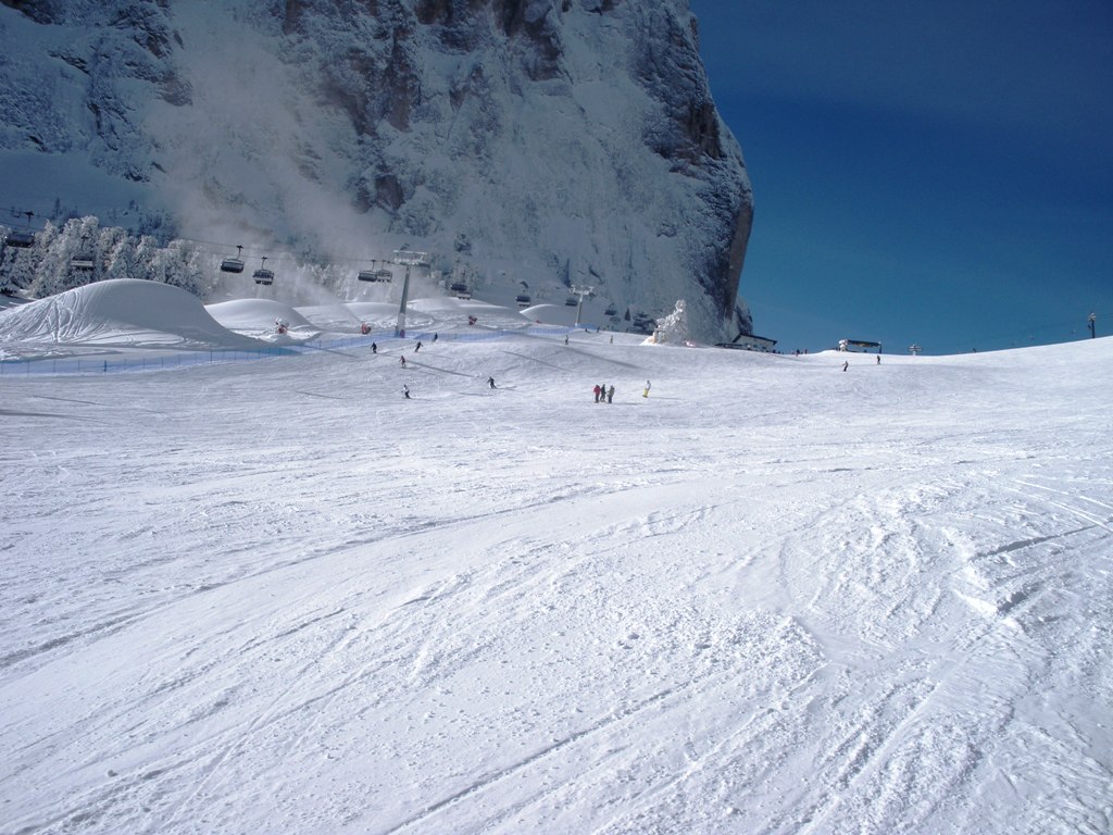 60222-pizsella.jpg