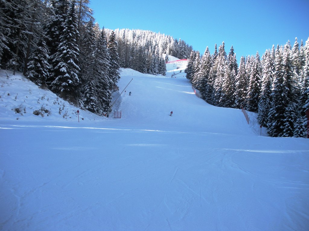 60228-sasslongr.jpg