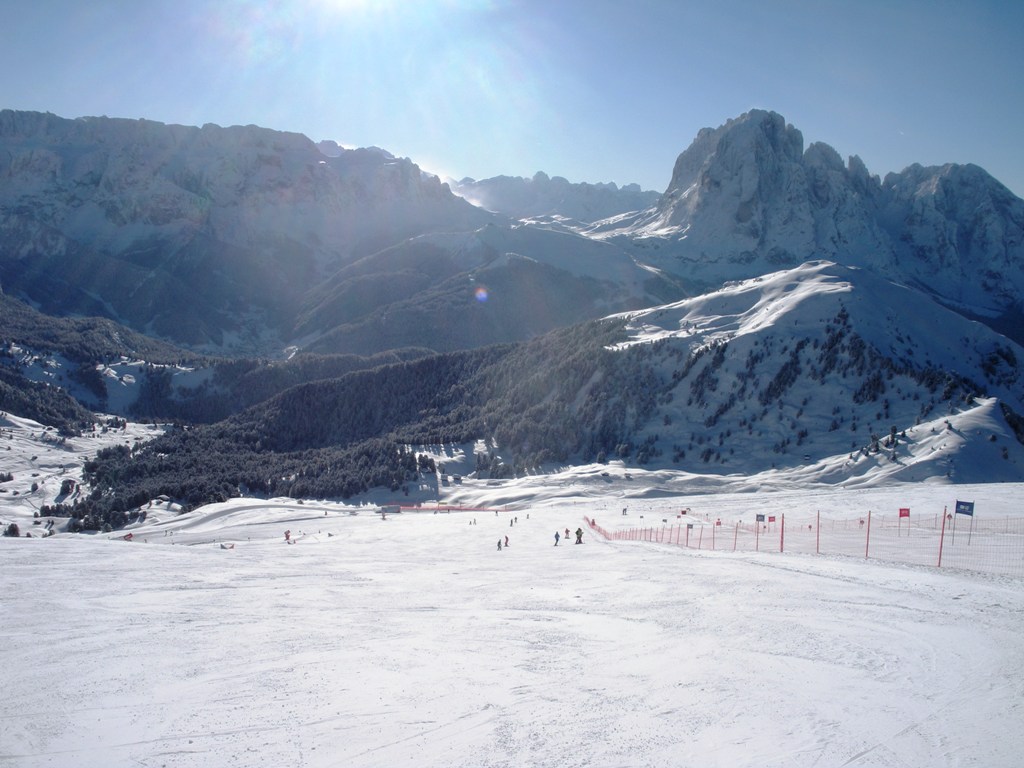 60233-seceda2.jpg