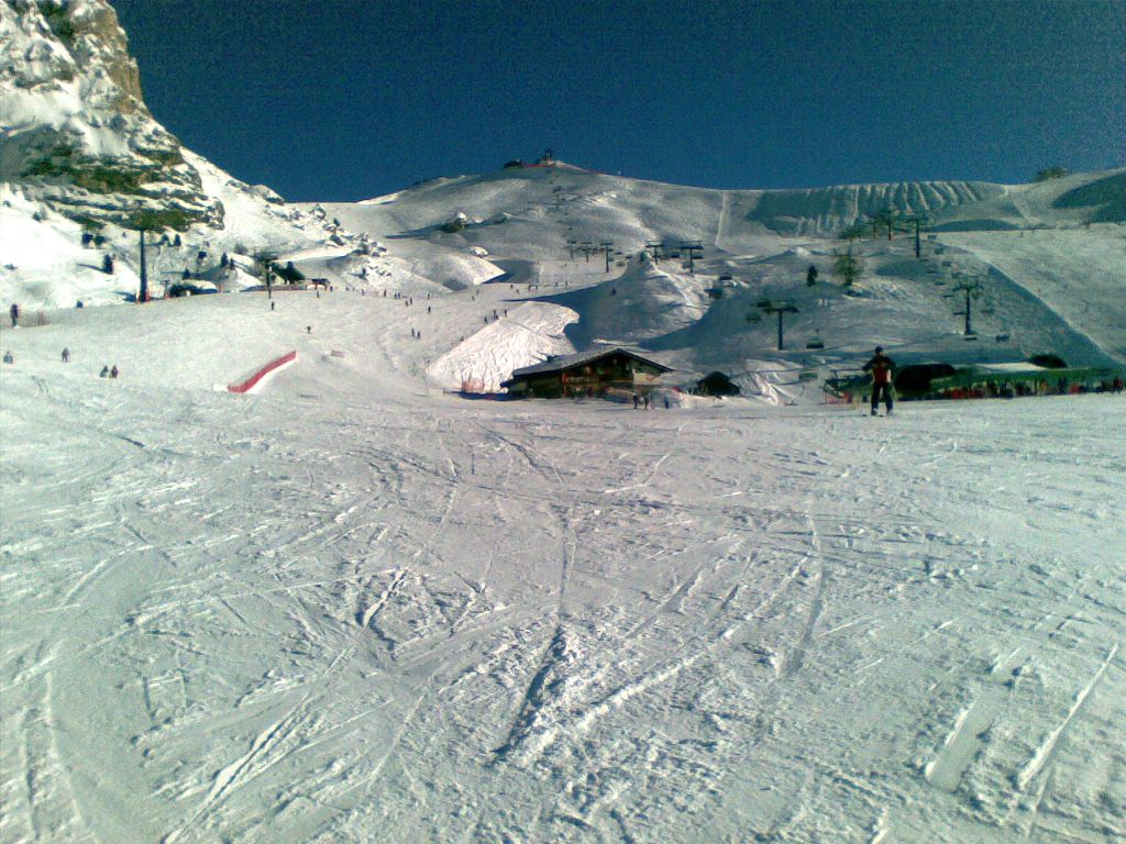 60239-belvedere.jpg