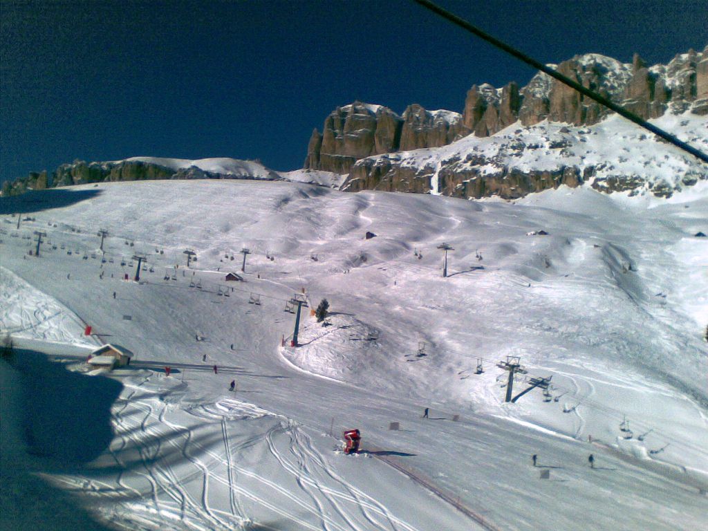 60255-sasbece2.jpg