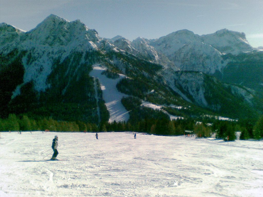 60264-31122010013.jpg
