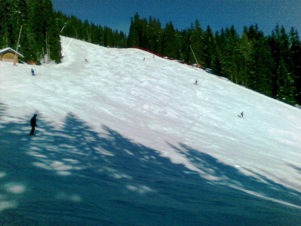 60265-31122010014.jpg