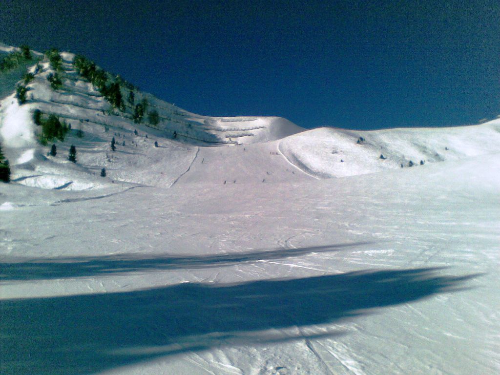 60272-03012011009.jpg