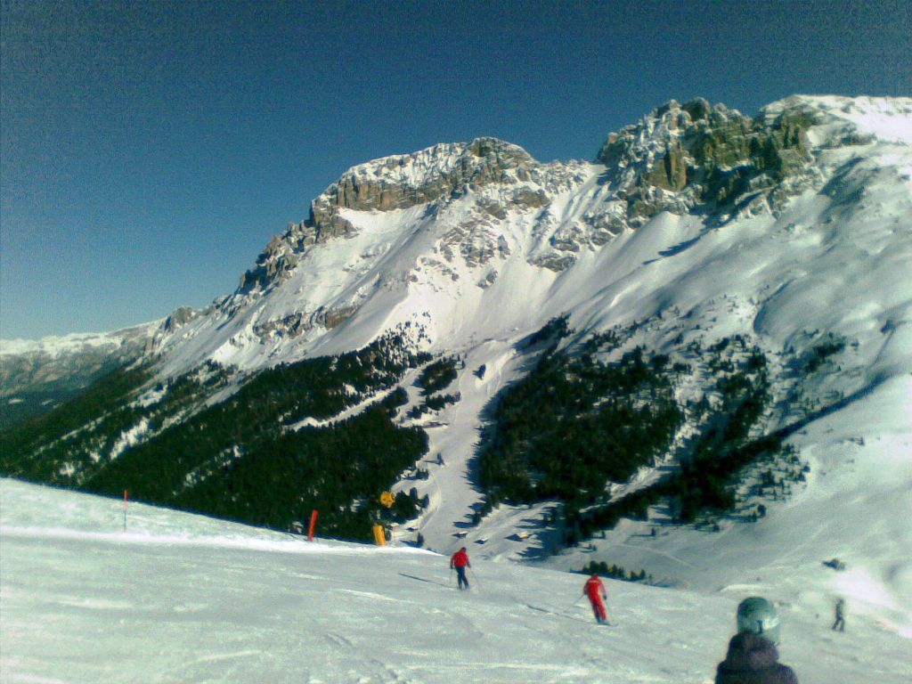 60273-03012011011.jpg