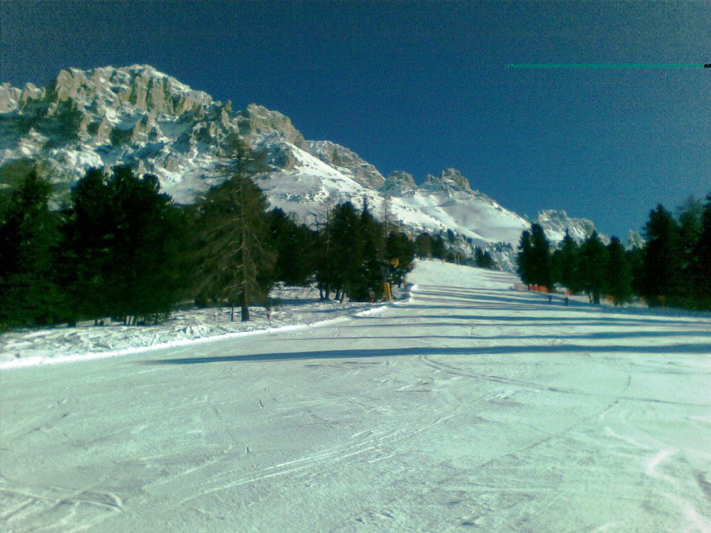 60276-03012011015.jpg
