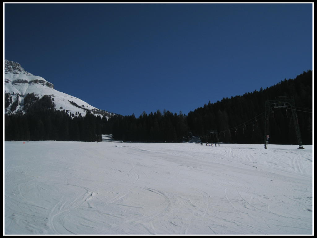 64073-web02pista-moser-alm.jpeg