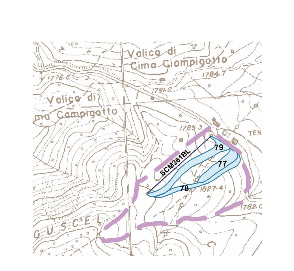 64467-pista-sci-alpino-cima-ciampigotto.jpg