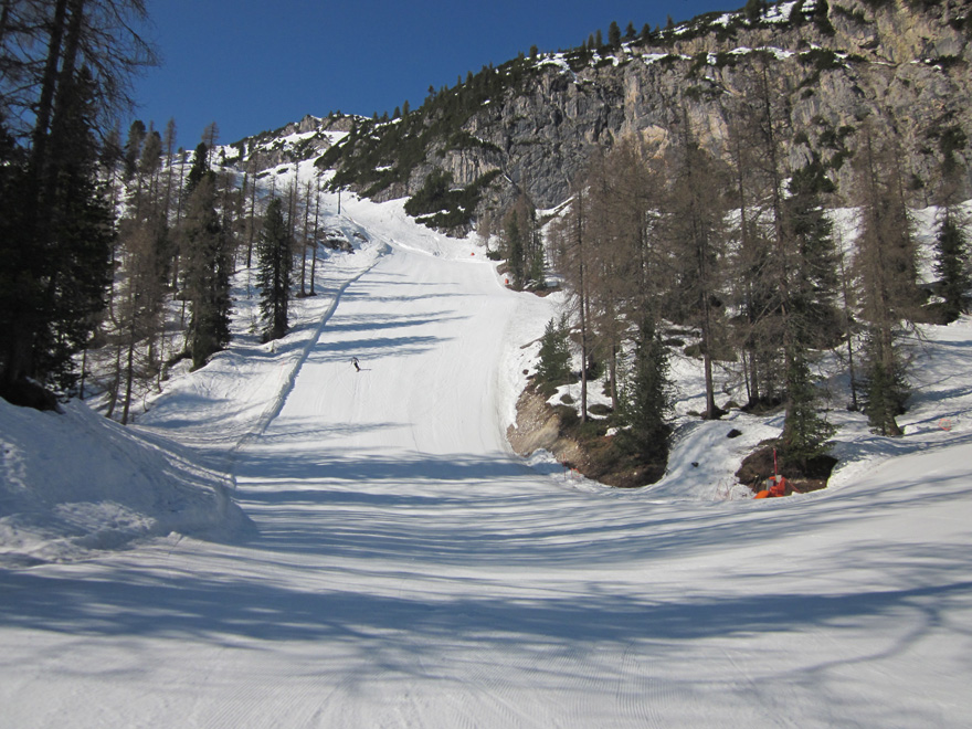65142-pista-vitelli-aprile.jpg