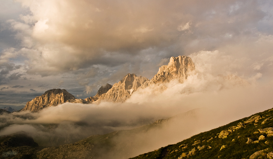 66190-pale-san-martino-rosa.jpg