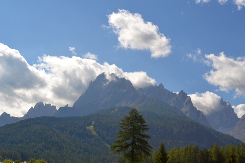 66888-dsc1305.jpg