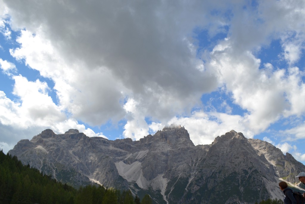 66890-dsc1341.jpg