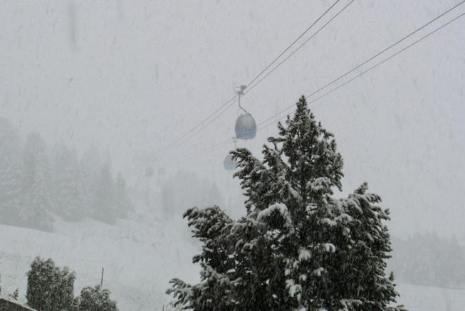 67518-snow.jpg