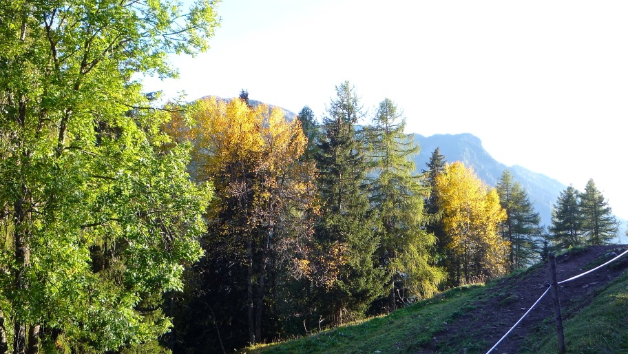 67815-p1070190.jpg