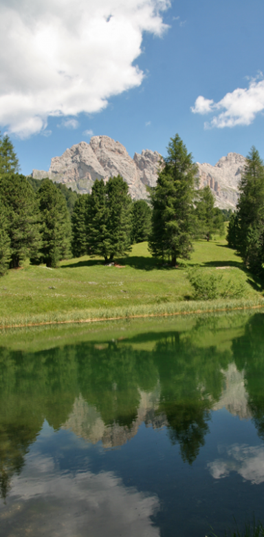 67895-specchiarsi-lago.png