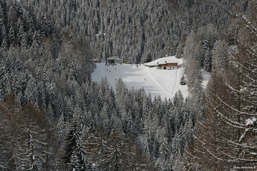 67953-boschi-gardena.jpg
