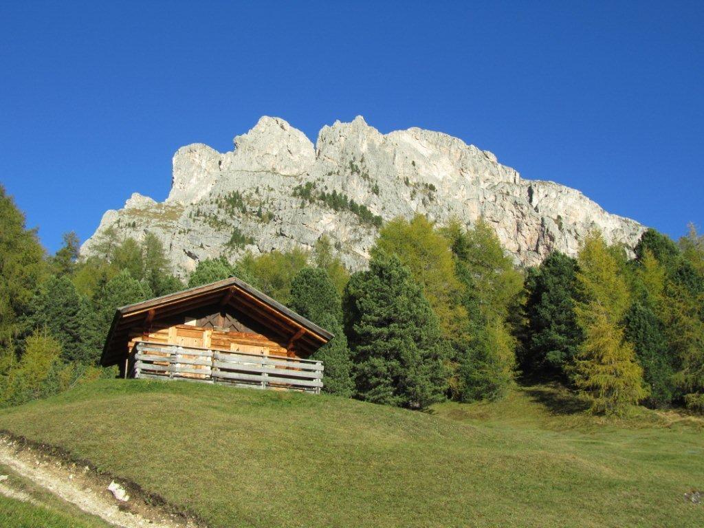 68091-la-baita-sotto-stevia.jpg
