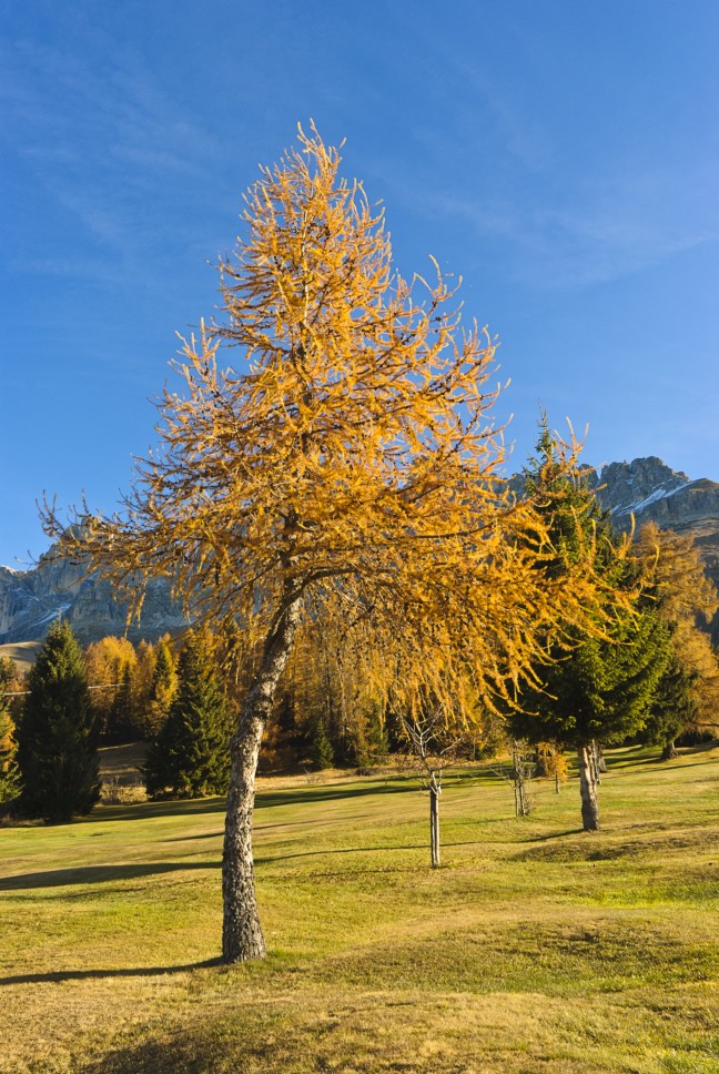 68308-2.jpg