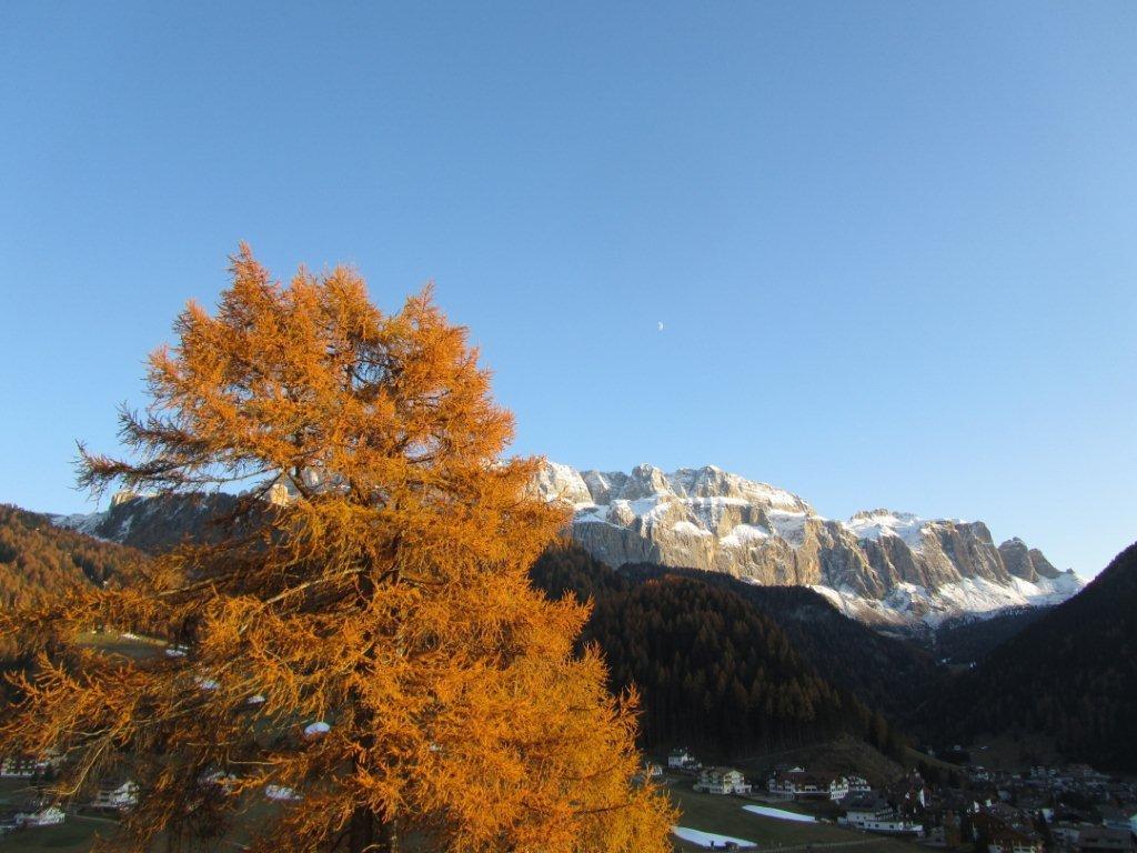 68460-selva-2.11.11-i.jpg
