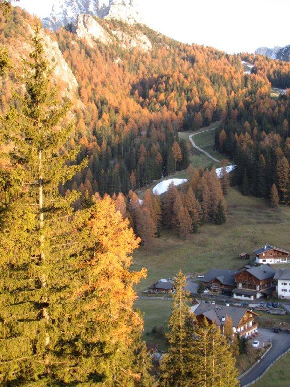 68464-selva-2.11.11-v.jpg