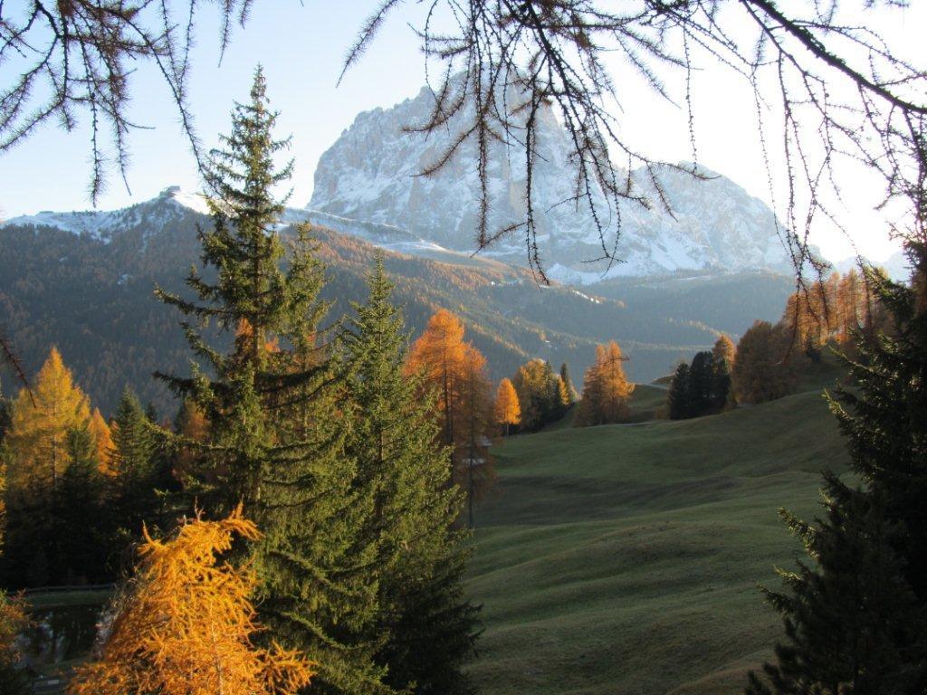 68470-sassolungo-e-ciampinoi-dai-prati-di-juac.jpg