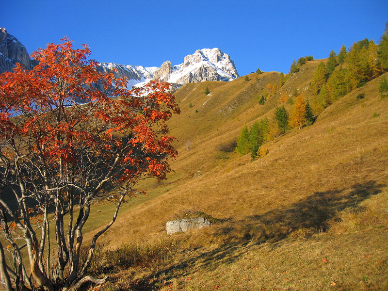 70280-mont-061.jpg