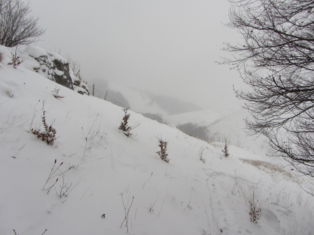 73322-img1035.jpg