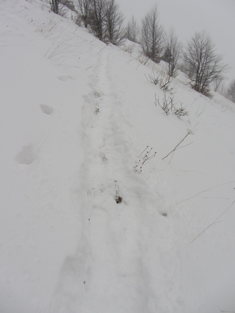 73324-img1038.jpg
